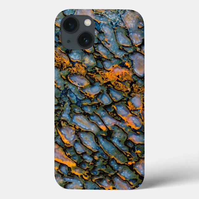 Petrified Dinosaur Bone Case-Mate iPhone Hülle (Rückseite)