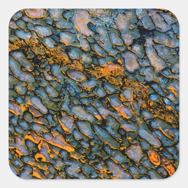 Petrified Dinosaur Bone Quadratischer Aufkleber (Vorderseite)