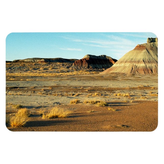 Petrified Forest Desert Arizona Landschaftsbild Fo Magnet (Horizontal)