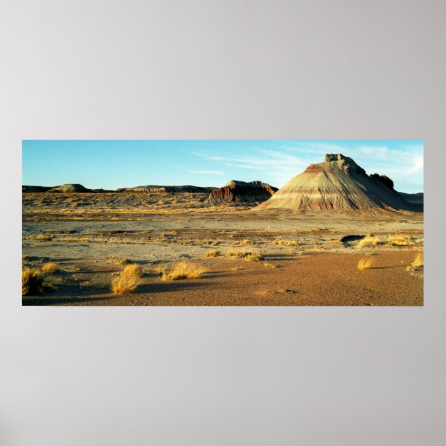 Petrified Forest Desert Arizona Landschaftsbild Fo Poster (Vorne)