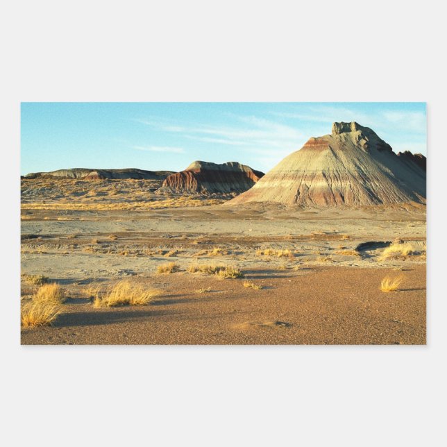 Petrified Forest Desert Arizona Landschaftsbild Fo Rechteckiger Aufkleber (Vorderseite)