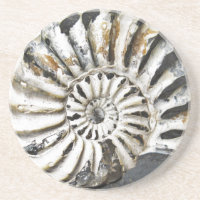 Petrified Nautical Fossil Beach House Untersetzer
