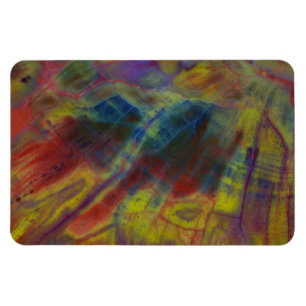 Petrified Wood Magnet