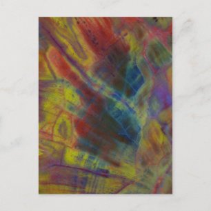 Petrified Wood Postkarte