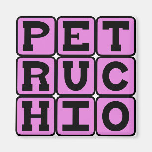 Petruchio, Charakter aus Der Widerspenstigen Zähmu Magnet