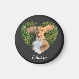 Pet's Cute Modern Typography Name and heart Photo Magnet