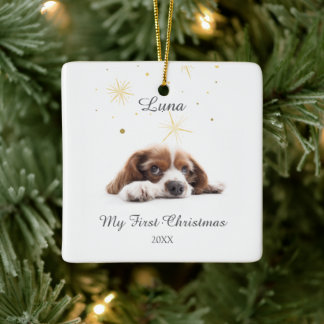 Pet's erste Weihnachten in Forever Zuhause Modern Keramikornament