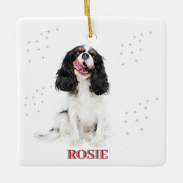 Pet's erste Weihnachten in Forever Zuhause Modern Keramikornament