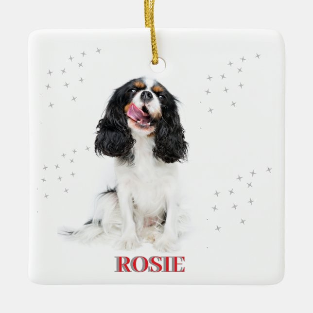 Pet's erste Weihnachten in Forever Zuhause Modern Keramikornament (Vorderseite)