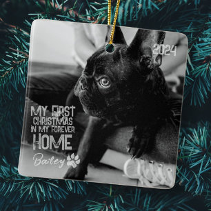 Pet's First Christmas Forever Zuhause Modern Grung Keramikornament