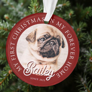 Pet's My First Christmas In Forever Home Modern