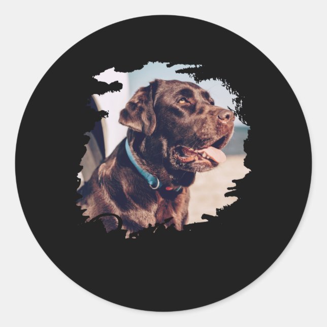 Pets Simple Modern Cool Tygraphy Name And Photo  Runder Aufkleber (Vorderseite)