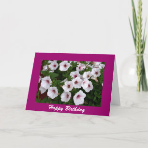 Petunia Birthday Greeting Karte