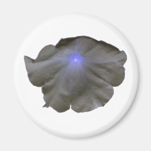 Petunia Black and Blue Magnet