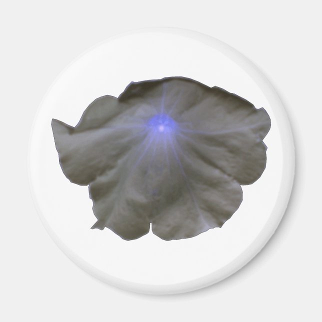 Petunia Black and Blue Magnet (Vorne)