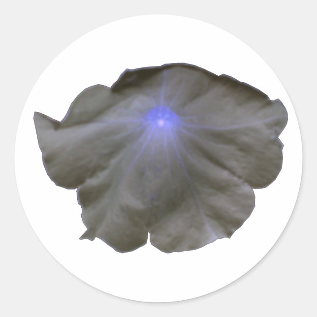 Petunia Black and Blue Stickers (Vorderseite)