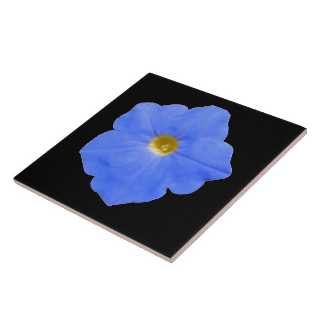 Petunia Blau und Gelbe Tile Fliese (Seite)