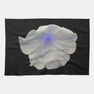 Petunia Blue Glow Kitetücher Küchentuch