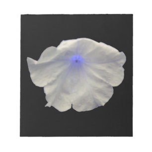 Petunia Blue Glow Notepad Notizblock