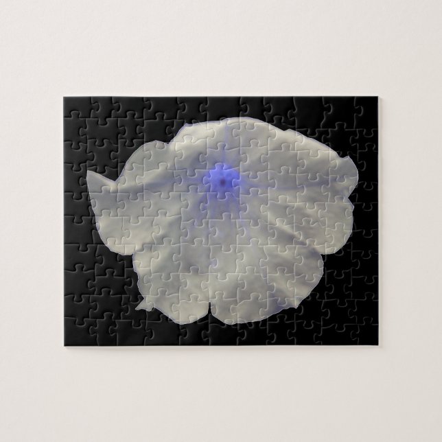 Petunia Blue Glow Puzzle (Horizontal)
