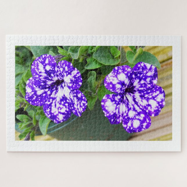 Petunia-Blume (Horizontal)