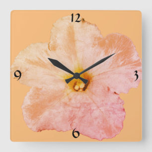 Petunia Blume Florenz Weihnachten Pfirsich Abstrak Quadratische Wanduhr