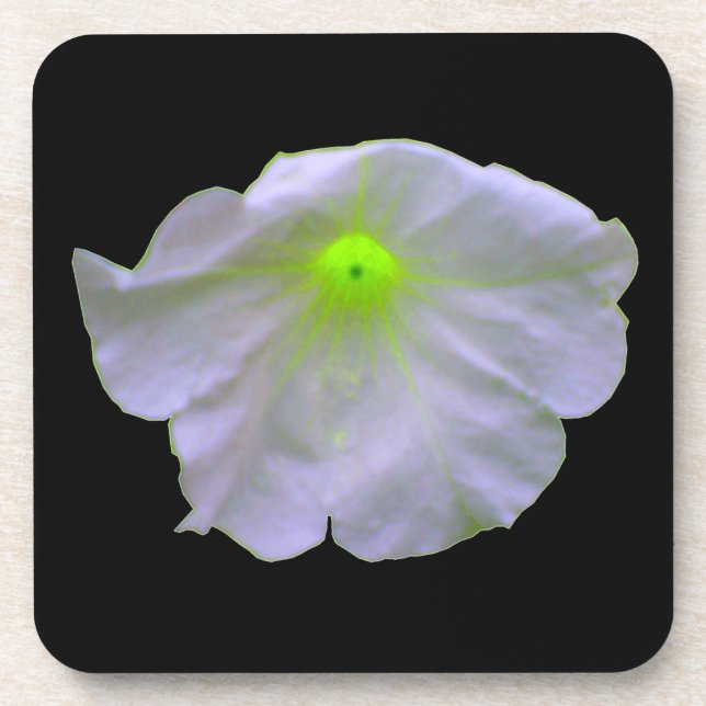 Petunia Green Glow Cork Untersetzer (Vorderseite)