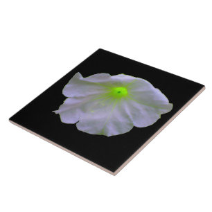 Petunia Green Glow Tile Fliese