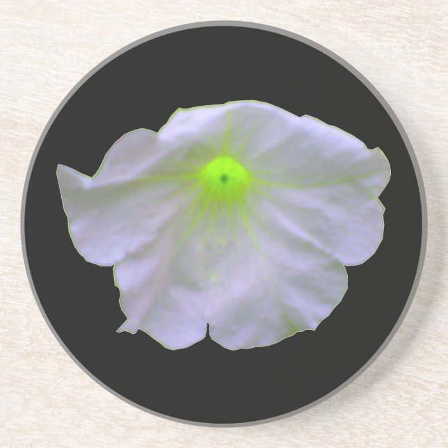 Petunia Green Glow Untersetzer (Vorne)