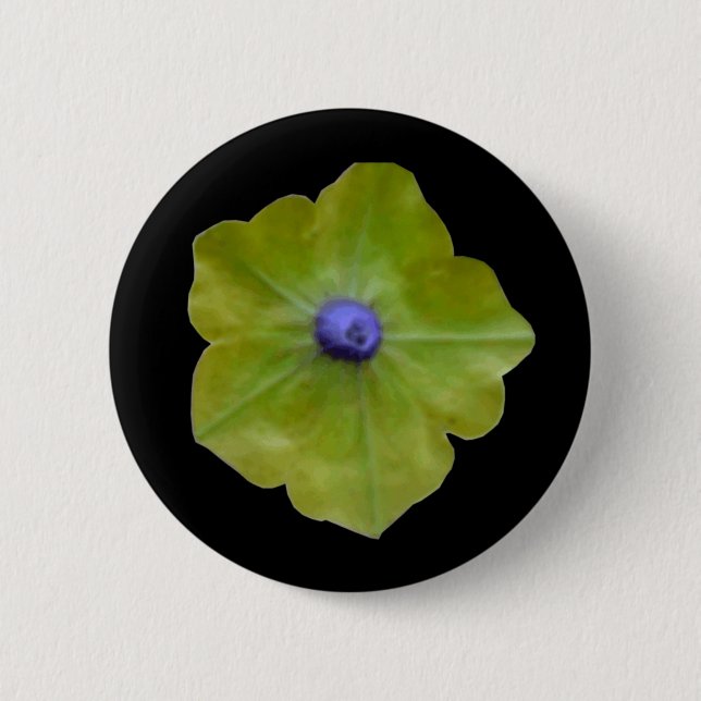 Petunia Green und Blue Button (Vorderseite)