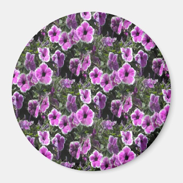 Petunia Land... Magnet (Vorne)