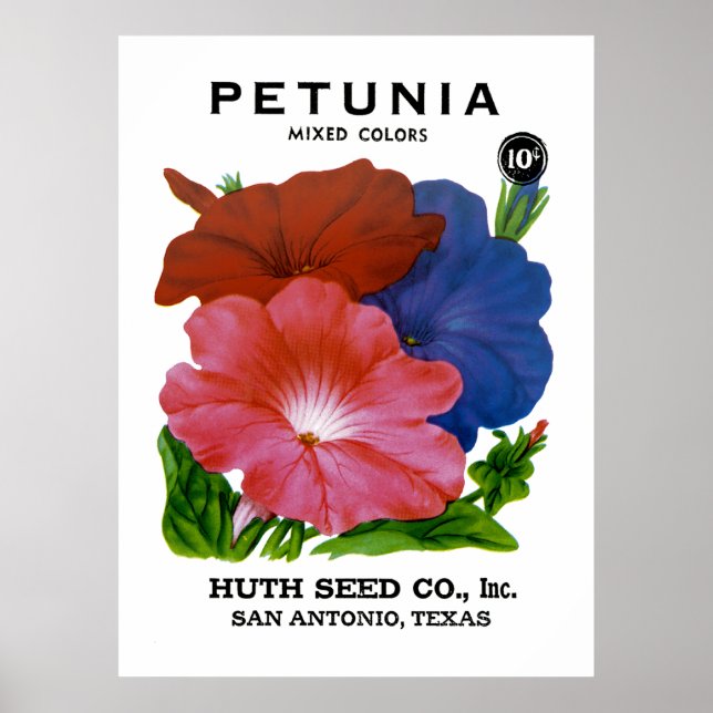 Petunia Vintag Seed Packet Poster (Vorne)