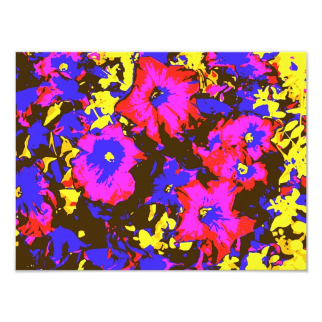 PETUNIAS FOTODRUCK (Vorne)