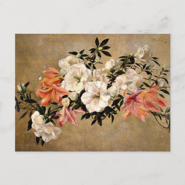 Petunias - Henri Fantin-Latour-Kunstwerk Postkarte (Vorderseite)