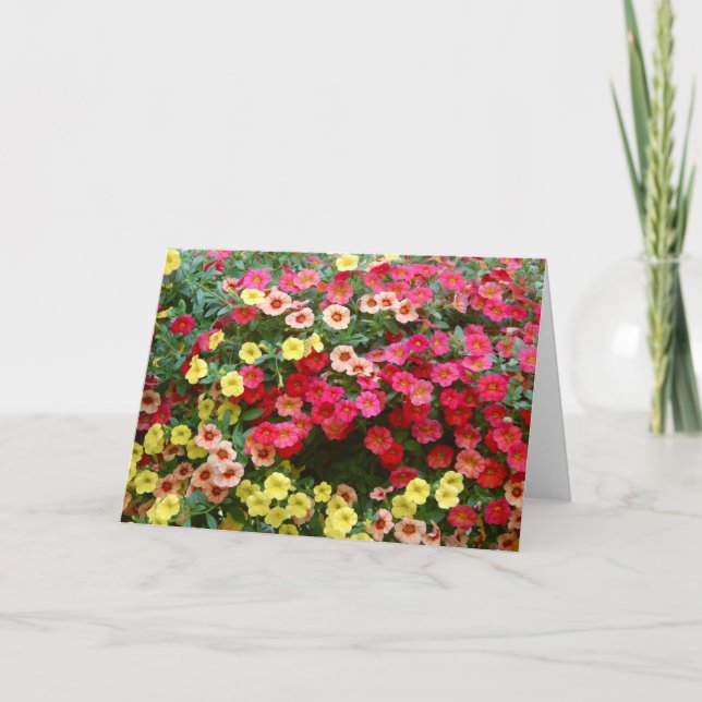 Petunias Karte (Vorderseite)