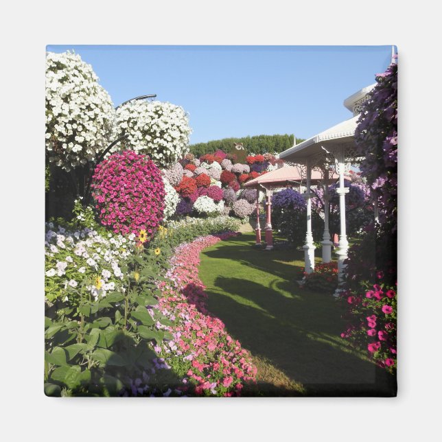 Petunias Magnet (Vorne)