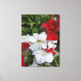 Petunias rote und weiße Leinwand drucken
