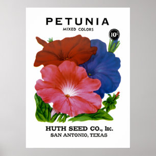 Petunie-Vintages Samen-Paket Poster