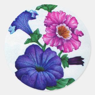 Petunien in blau und rosa runder aufkleber