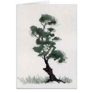 Peu d'arbre de sapin