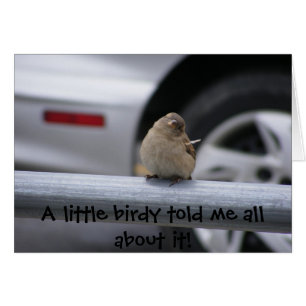 Peu de Birdy (personnalisable !)