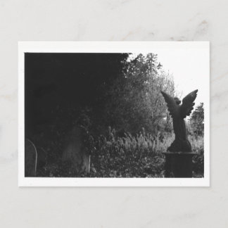 Peu de carte postale de cimetière de statue d'ange
