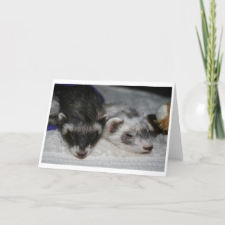 Peu de cartes de voeux de dormeurs de Dooks