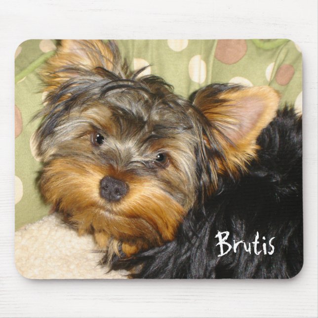 Peu de tapis de souris de Yorkie (Devant)