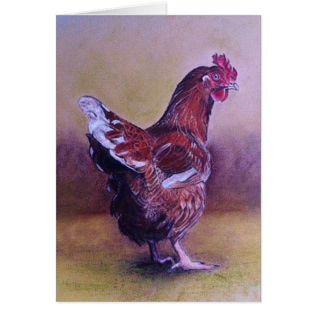 Peu poule Brown (Devant)