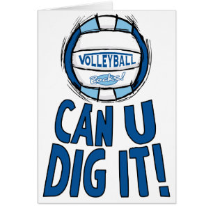 Peut la fouille d'U il lt bleu Blue de volleyball