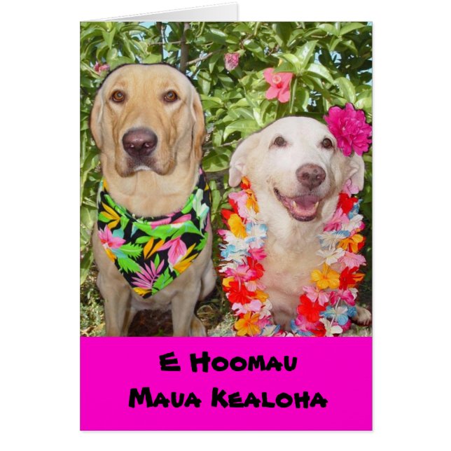 Peut notre bout d'amour pour toujours ! (Devant)