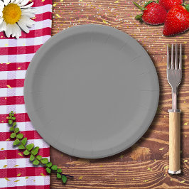 Pewter Gray Solid Color | Klassisches Elegant Pappteller