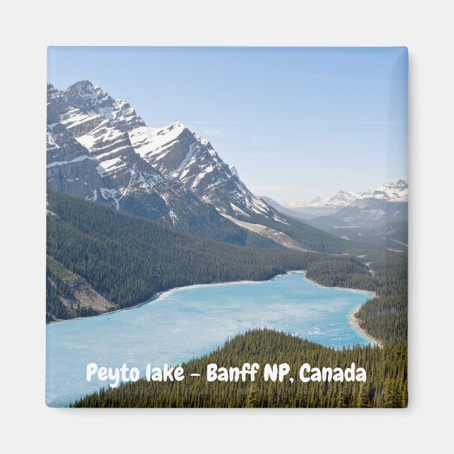 Peyto Lake - Banff National Park, Alberta, Kanada Magnet (Vorne)