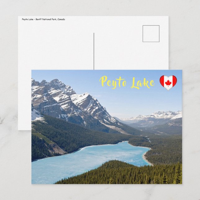 Peyto Lake - Banff National Park, Alberta, Kanada Postkarte (Vorne/Hinten)